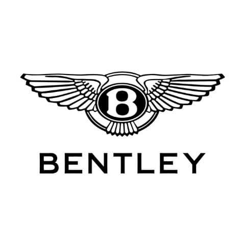 Brand logo 12