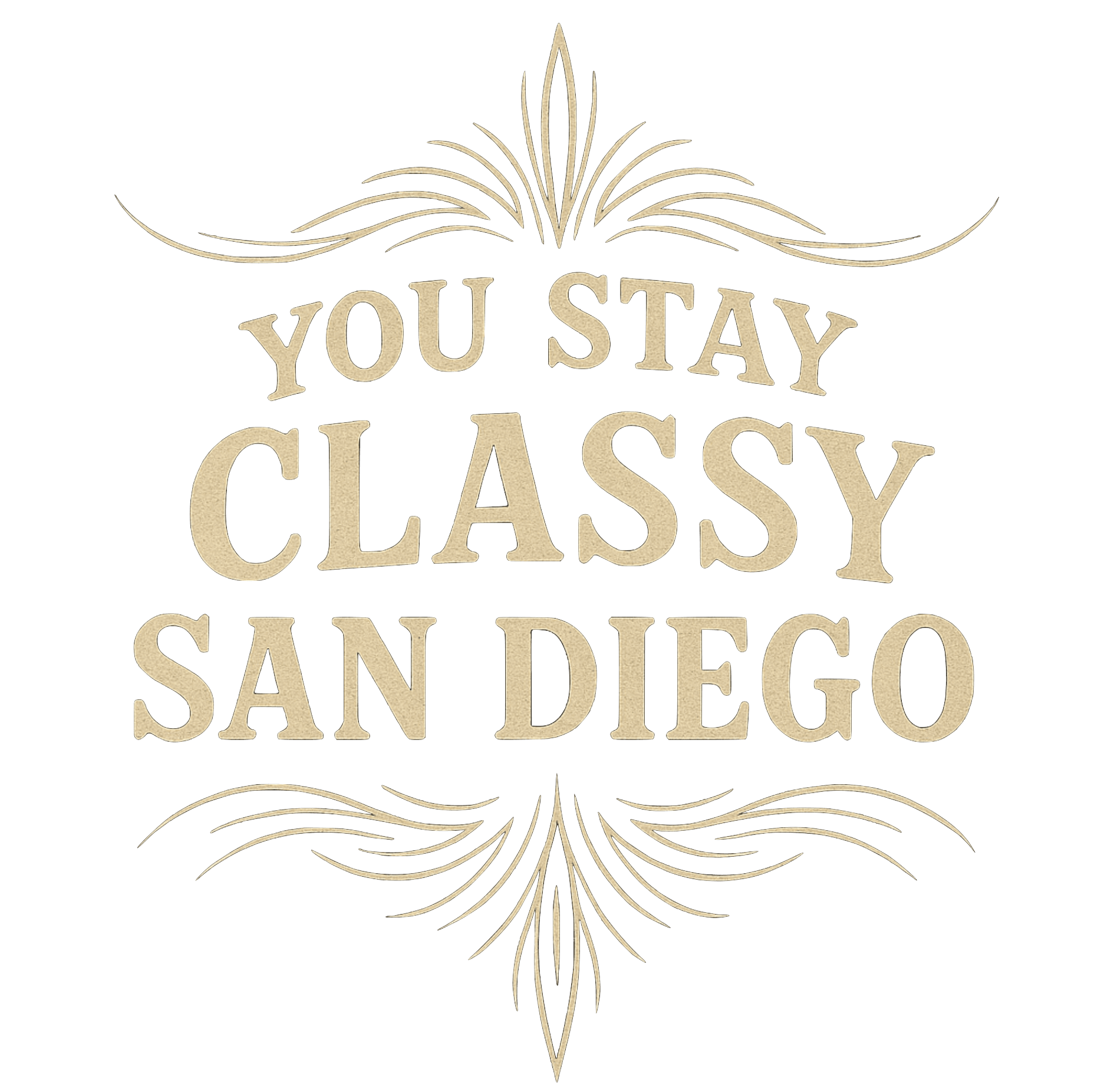 Stay Classy - San Diego Classic Auto Detail